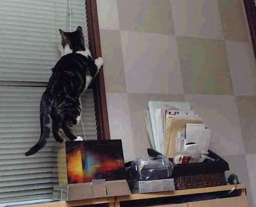 开云体育平台APP-北欧风暴席卷梦剧场，无名小卒斯通斯如何让曼联巨轮沉没